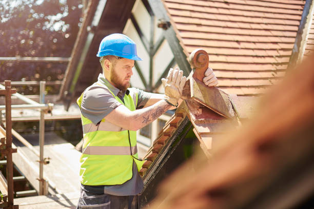 Best Roof Gutter Cleaning  in Ashaway, RI